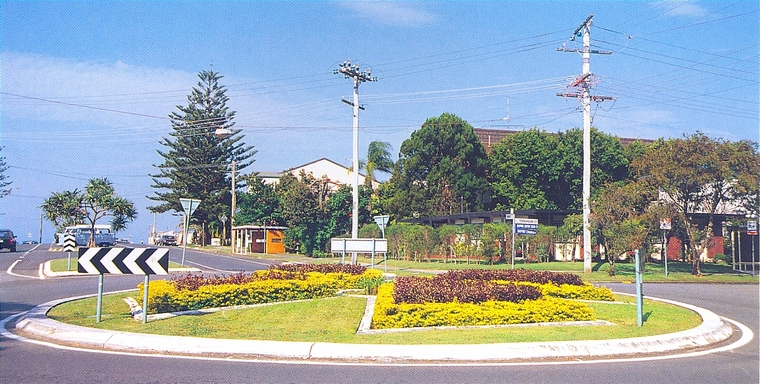 花池树池015