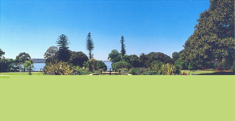 花池树池016