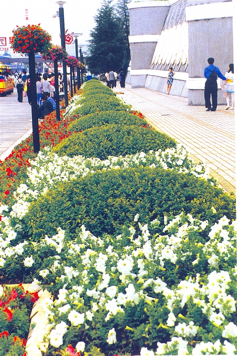 花池树池028