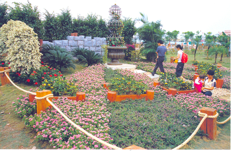 花池树池035