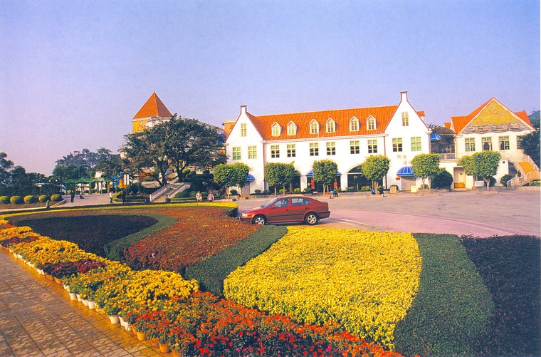 花池树池048