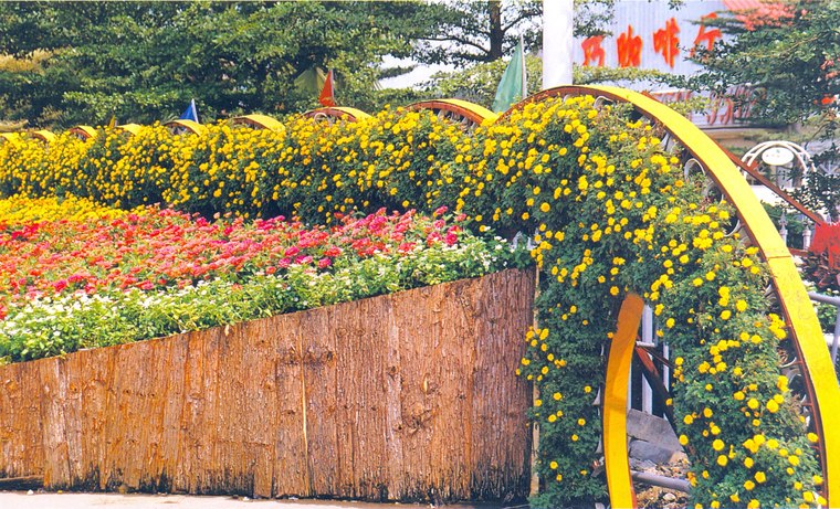花池树池049