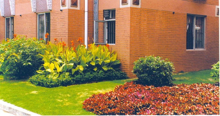 花池树池059