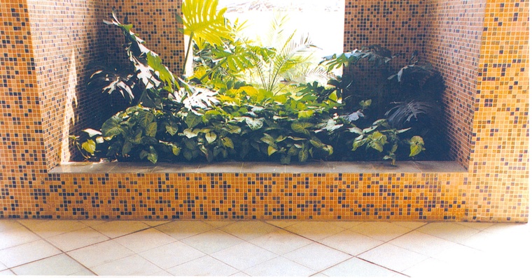 花池树池060