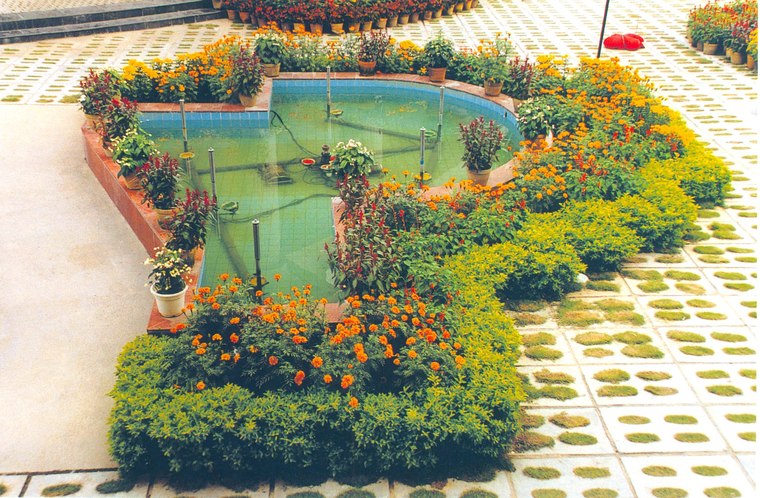 花池树池064