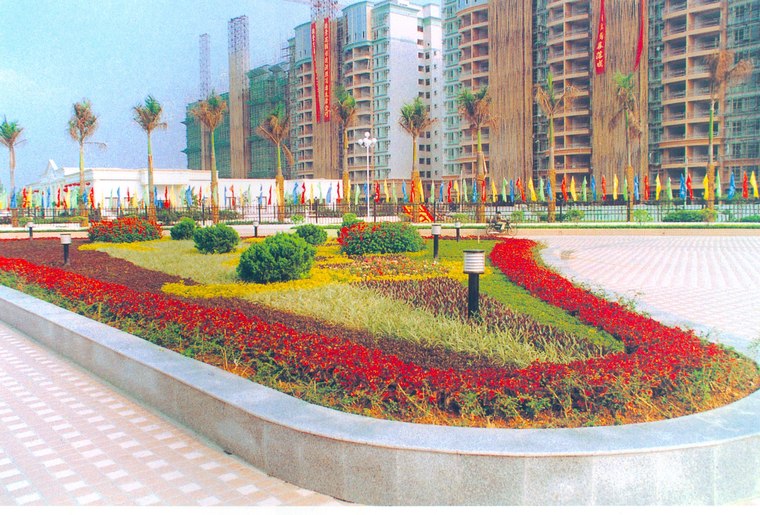 花池树池066
