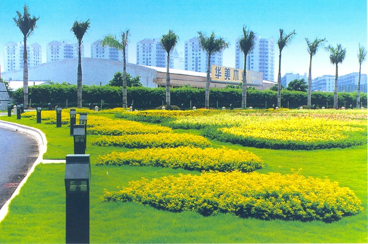 花池树池071