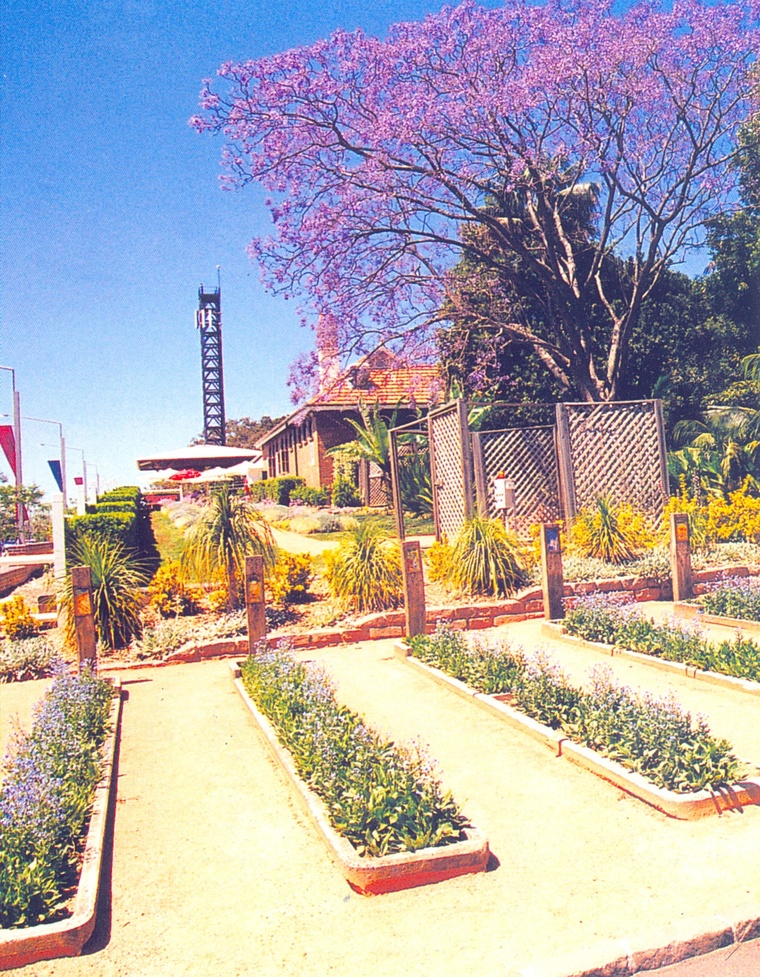 花池树池090