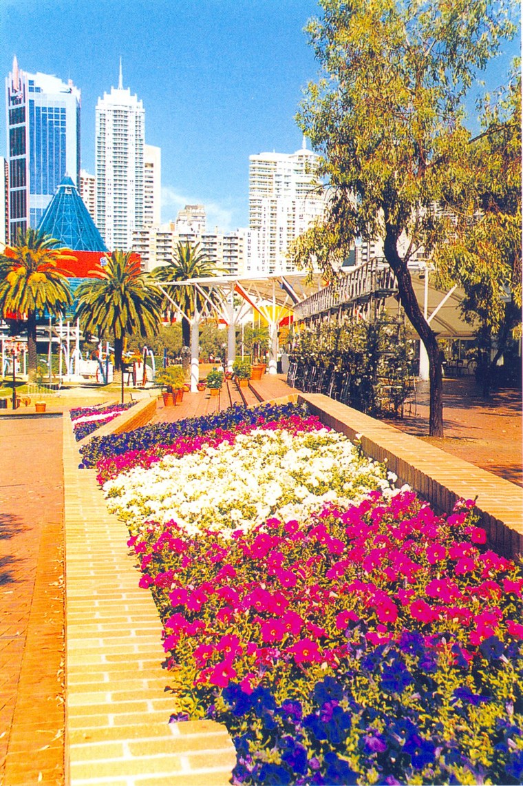 花池树池093