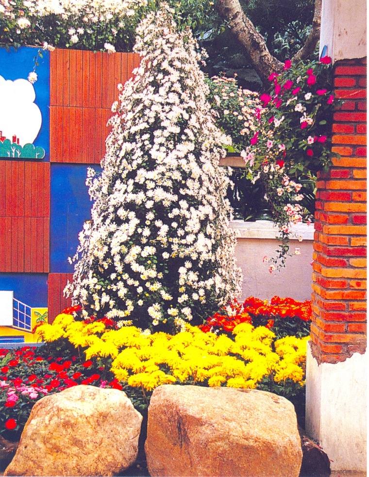 花池树池094