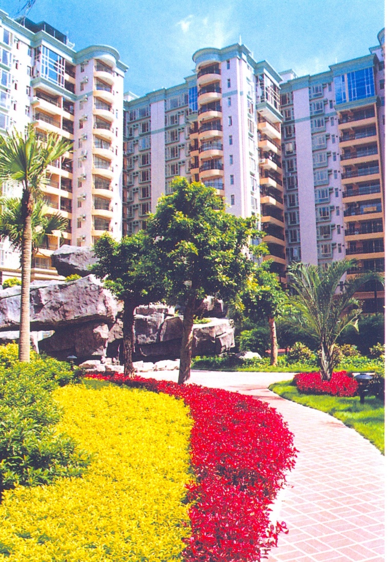 花池树池099