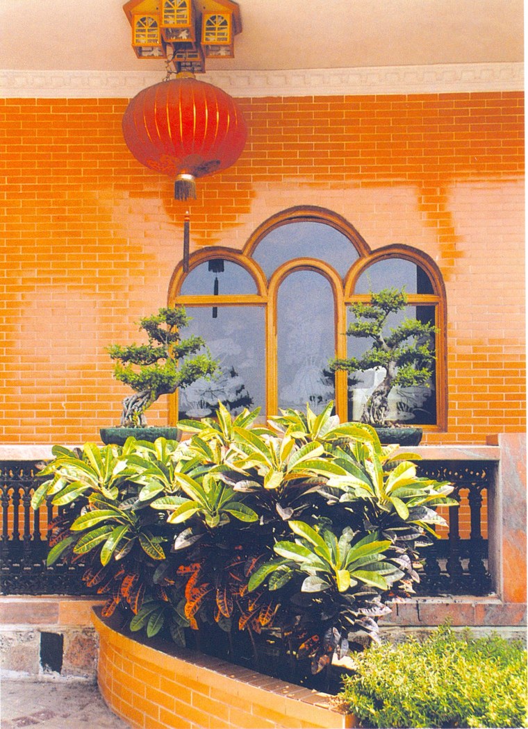 花池树池100