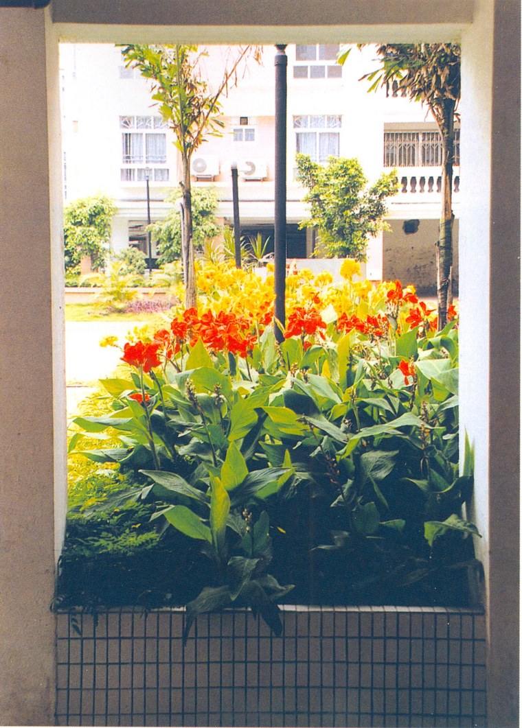 花池树池101