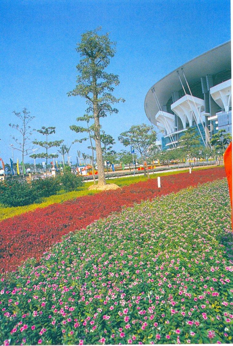 花池树池102