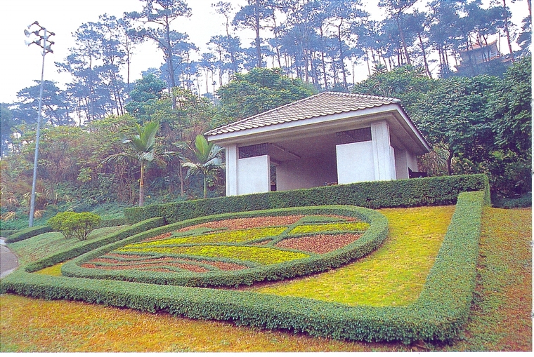 花池树池107