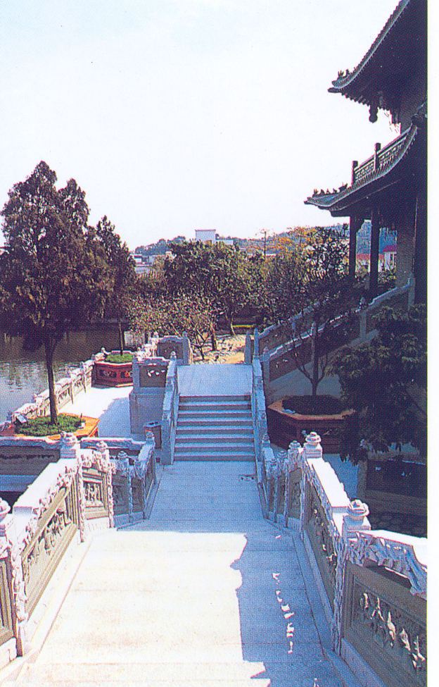 台阶65