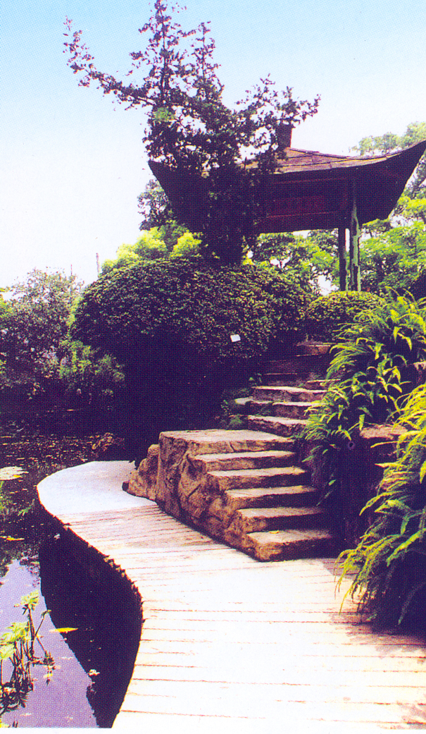 台阶70