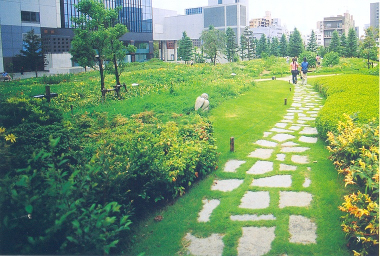 栈道1