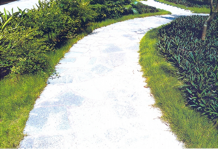 园路01