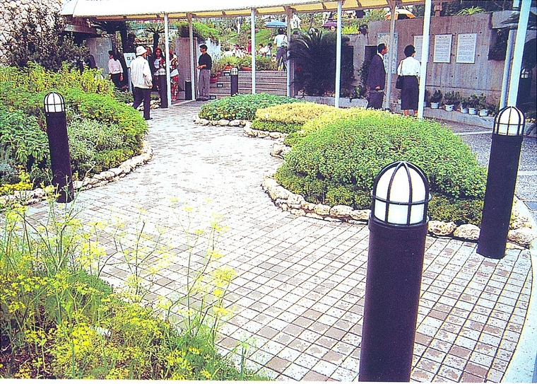 园路13