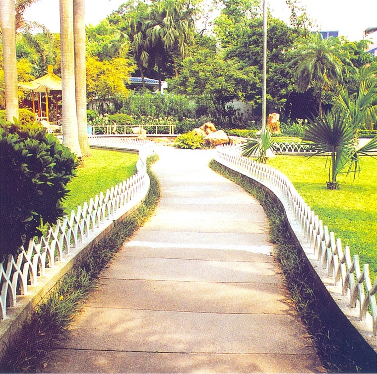 园路20