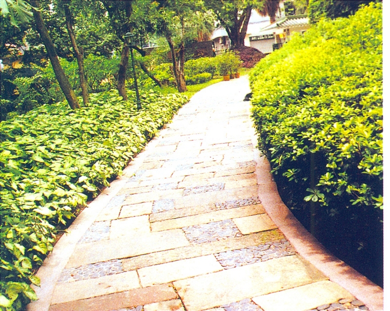 园路21