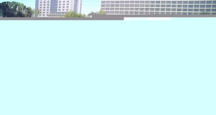 园路23
