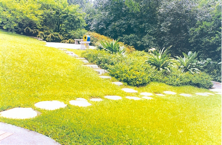 园路26