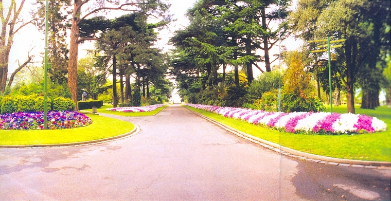 园路28