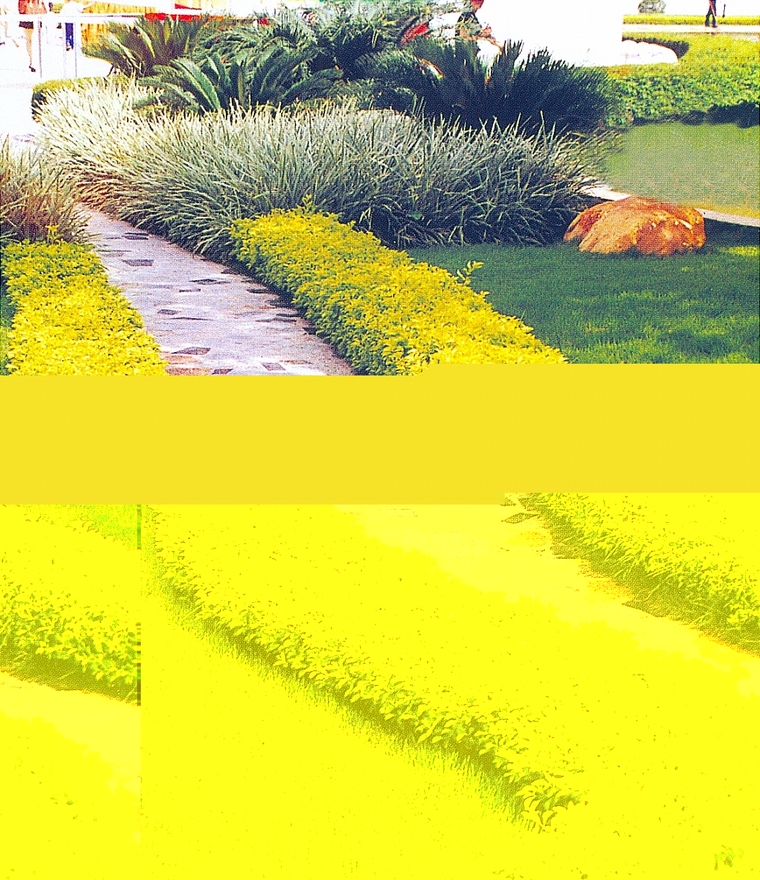 园路38