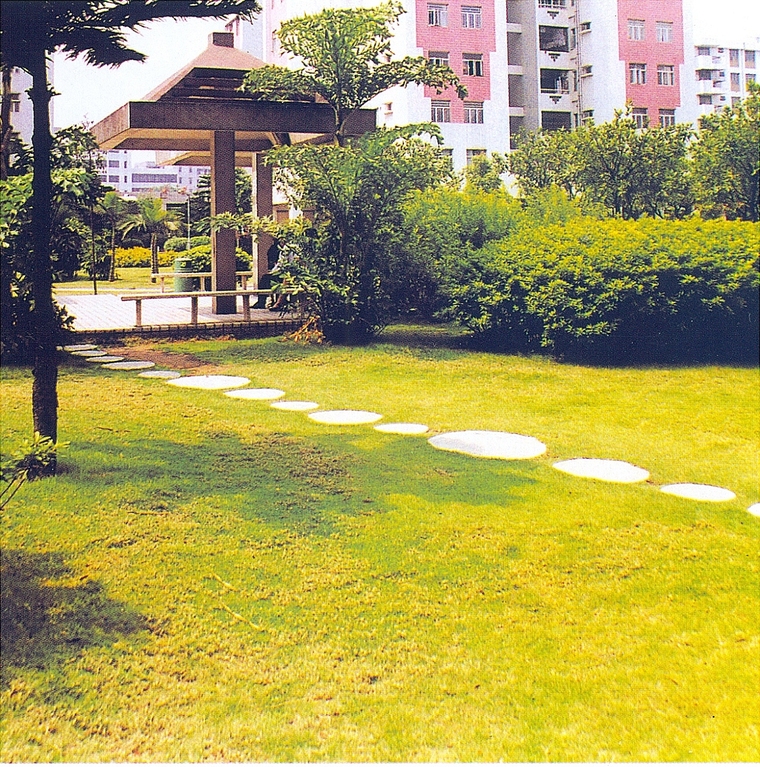 园路42