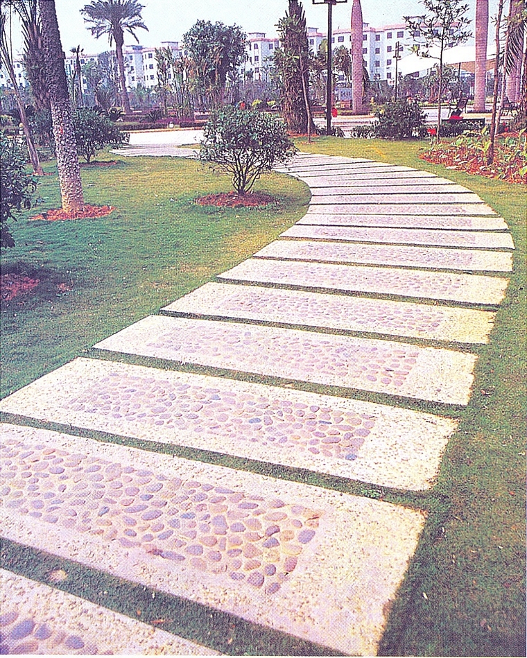 园路53