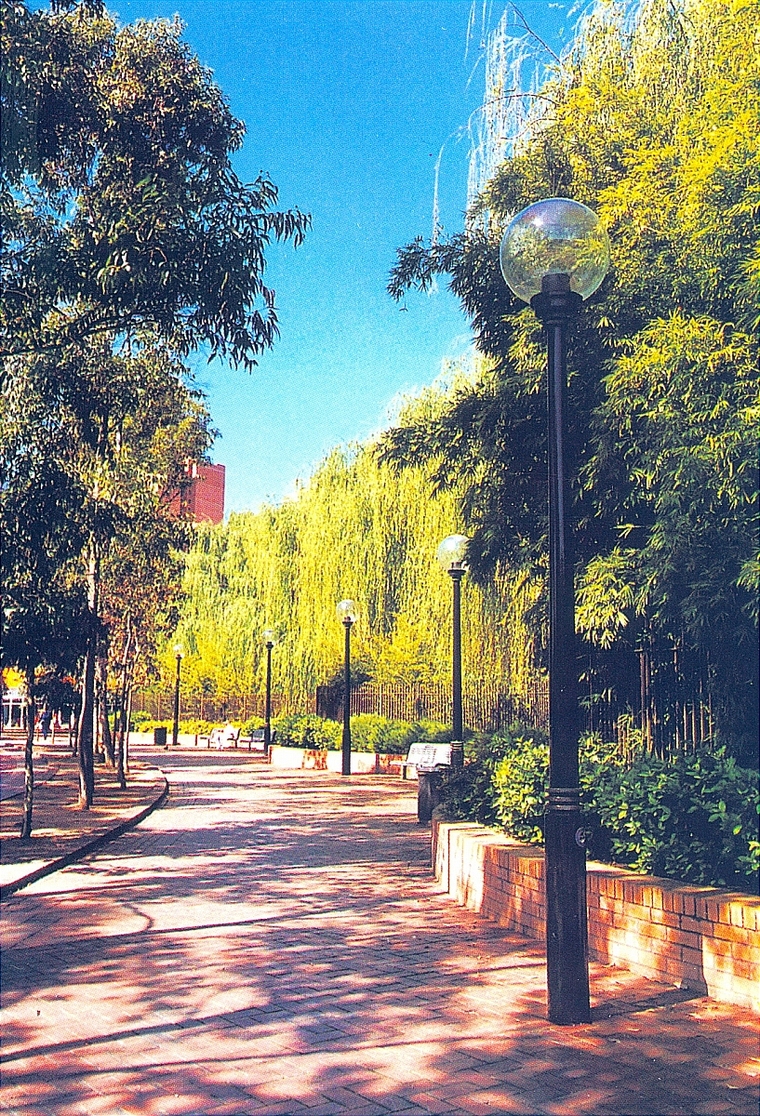 园路55