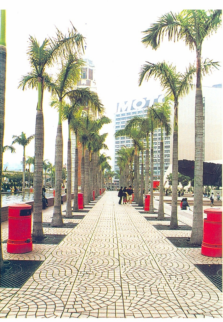 园路71