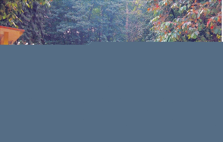 廊架12