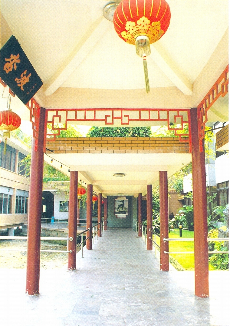 廊架51