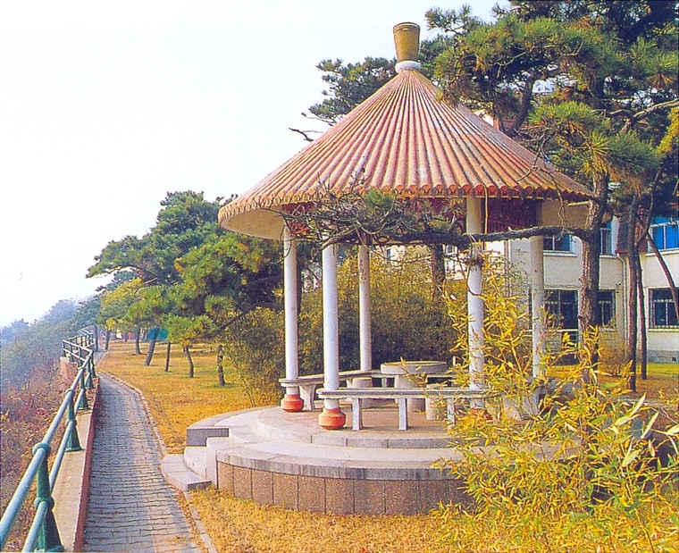 亭子11