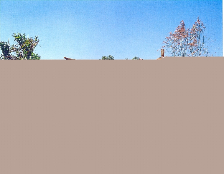 亭子49