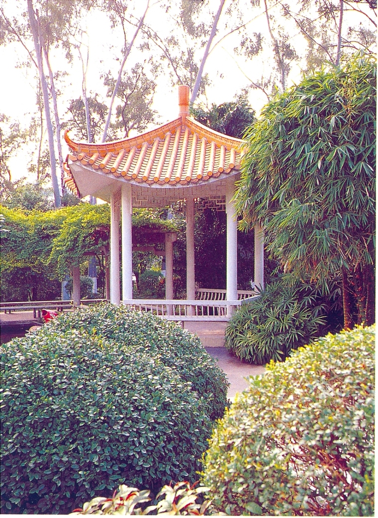 亭子31
