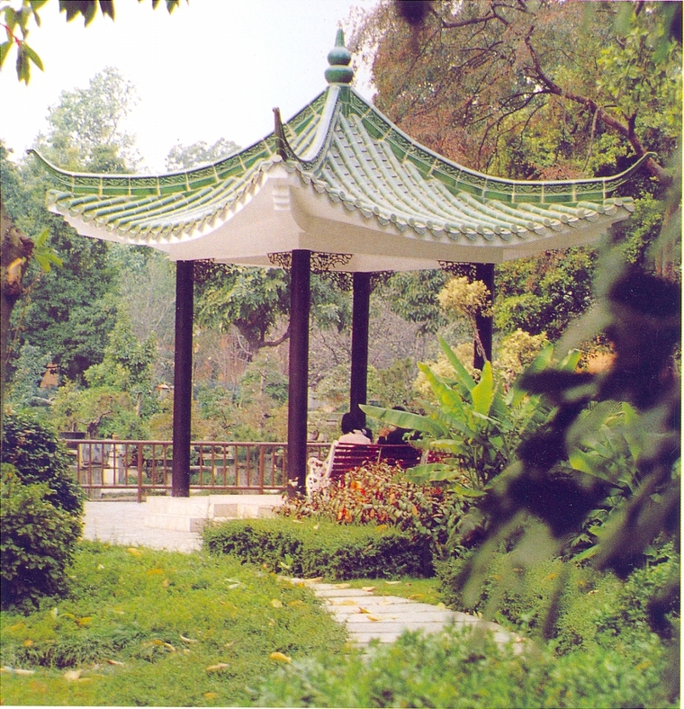 亭子33
