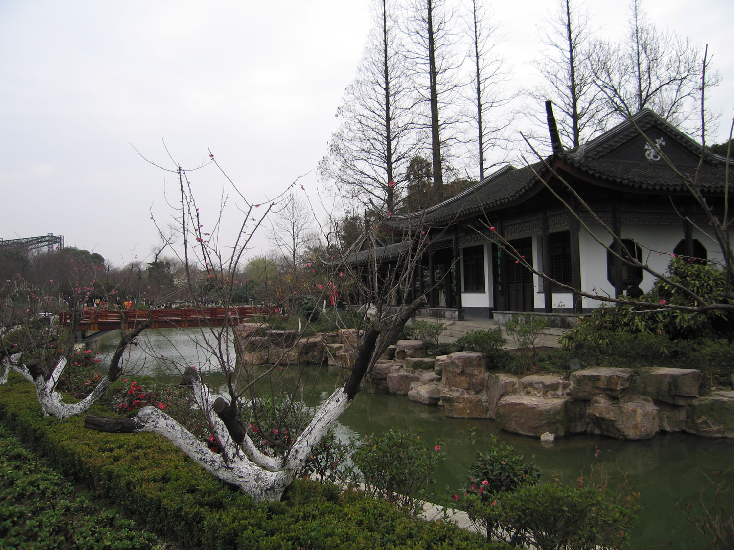 常州红梅公园