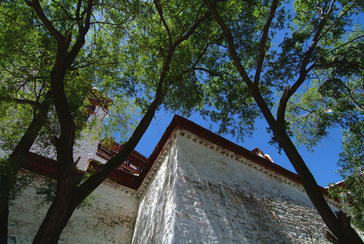 布达拉宫（Potala Palace）装饰-布达拉宫（Potala Palace）装饰第80张图片