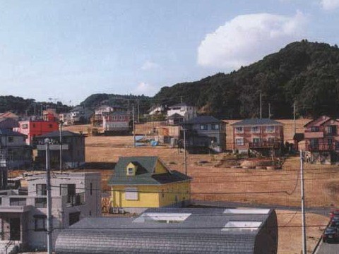 旷野中的住宅资料下载-‘俄国狼狗’住宅