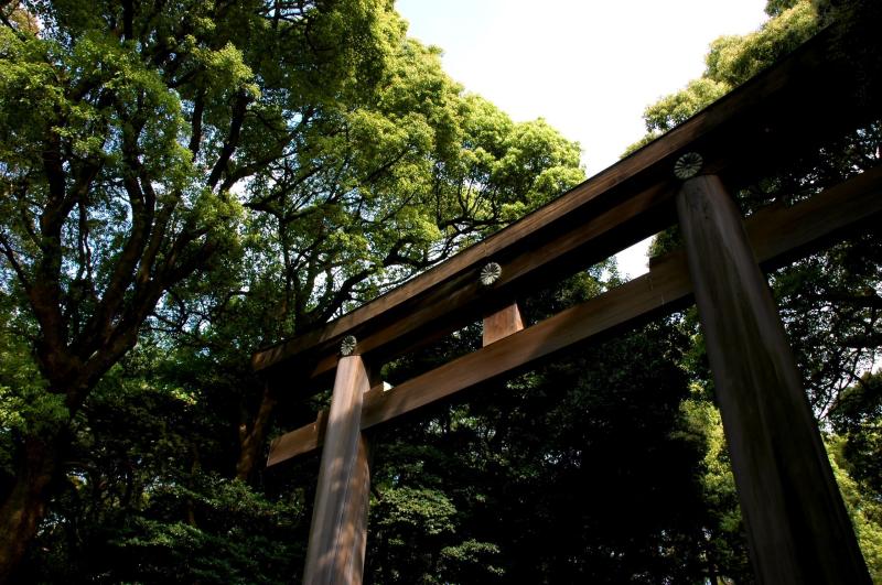 明治神殿园林(meijishrine)