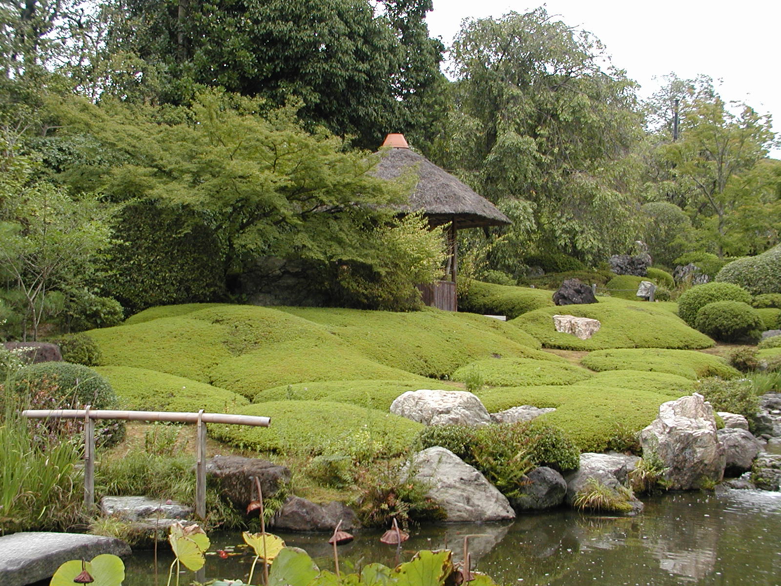 taizo-in花园-国外景观项目案例-筑龙园林景观论坛