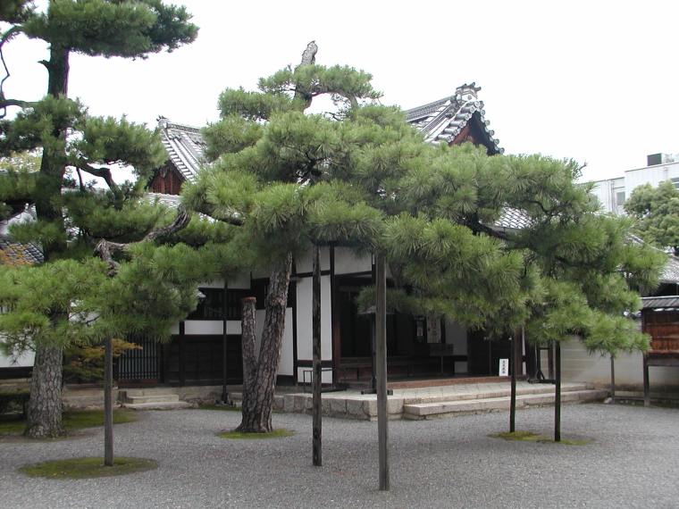 rozanji寺花园