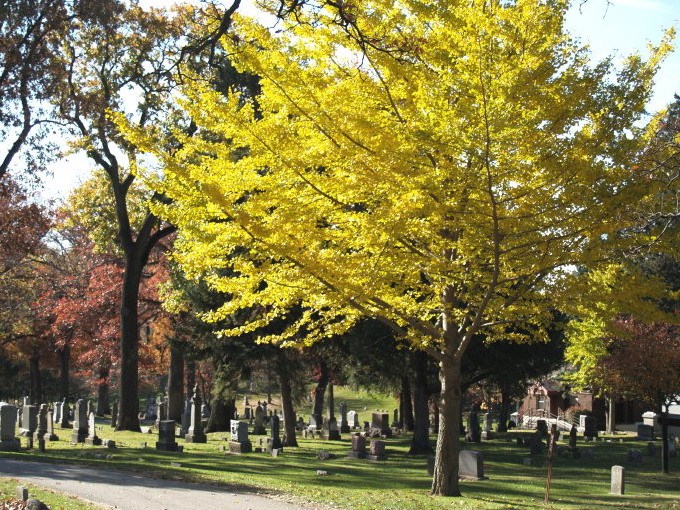 墓园案例资料下载-Oaklawn墓园(Oaklawn Cemetery)