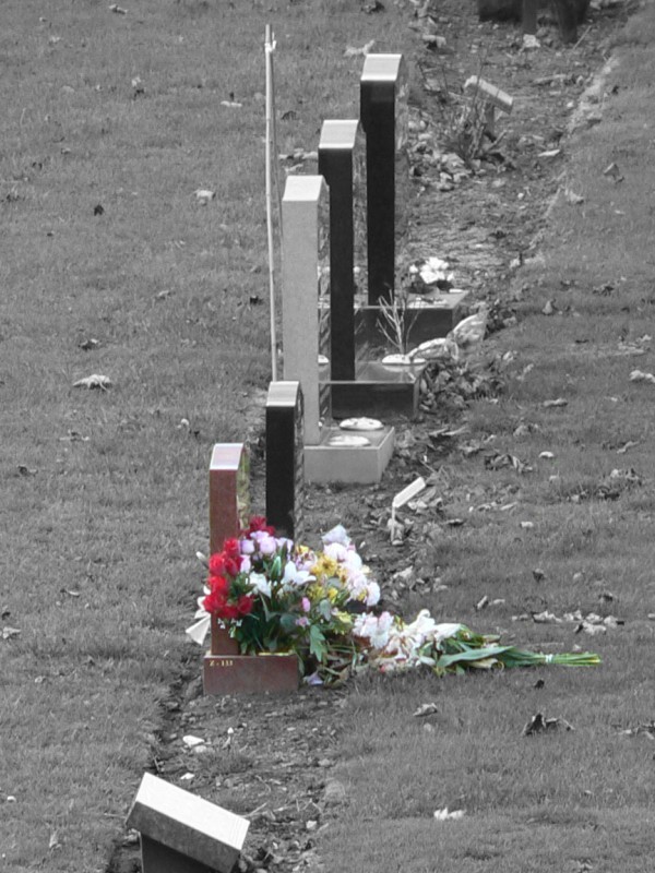 Portobello墓园(Portobello Cemetery)未归类园林工程实例案例筑龙园林景观论坛