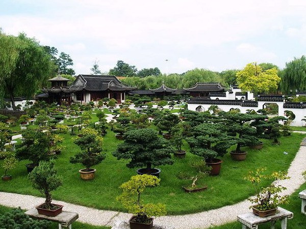 扬州盆景园第2张图片