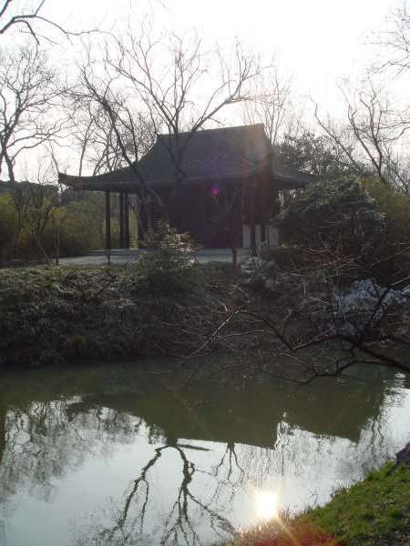 扬州盆景园第10张图片